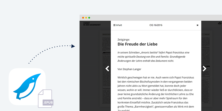 eReader-Lesemodus aus EPUB erstellen – So einfach geht’s!