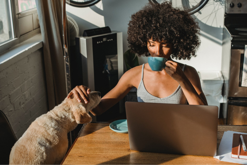 Digitalen Katalog als ePaper erstellen