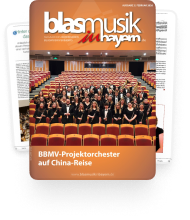 Link zum Beispielkatalog von buss